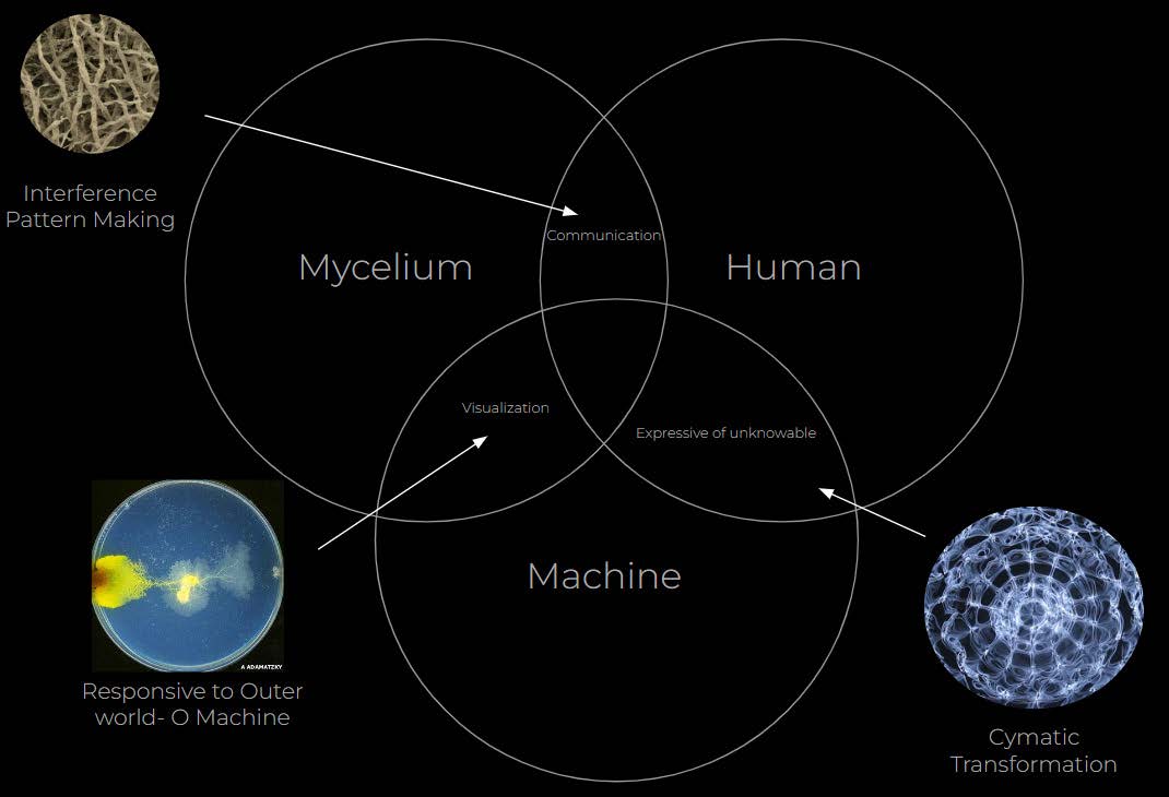 Mycelium + Human + Machine 2
